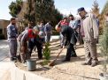 گزارش تصویری از آئیین درختکاری و تقدیر ازهمکاران فضای سبز دانشگاه